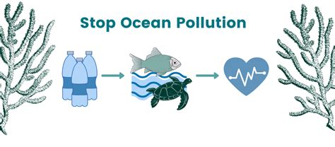 How To Stop Plastic Pollution In The Ocean — Tidey