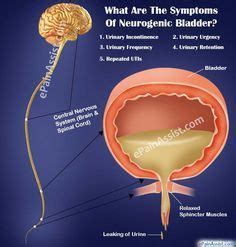 What Are The Symptoms Of Neurogenic Bladder? | Bladder incontinence ...