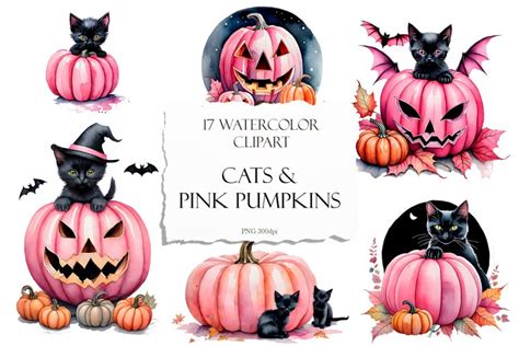 Halloween Cats and Pink Pumpkins PNG