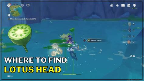 Genshin Impact Lotus Head Location How To Find Lotus Head YouTube