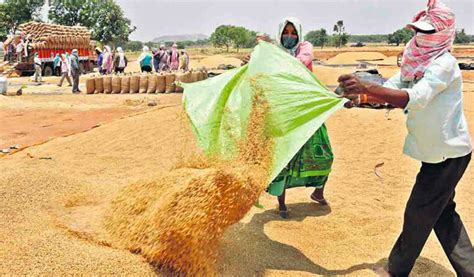 Telangana Speeds Up Paddy Procurement Nearly 2000 Procurement Centres