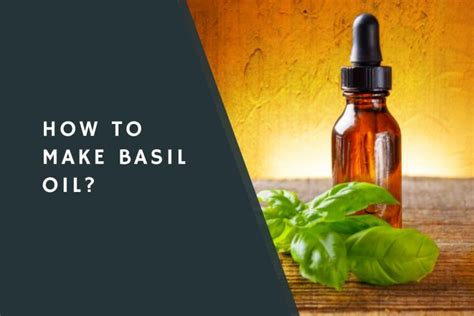 How To Make Basil Oil Condimentbucket