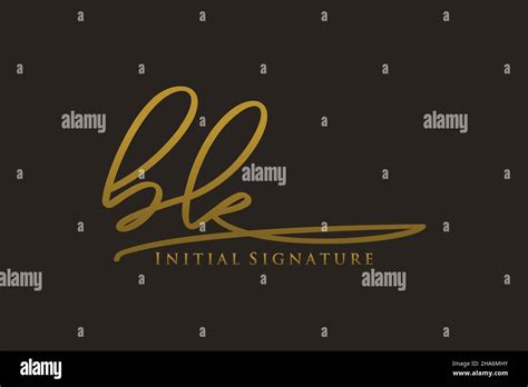 Bk Letter Signature Logo Template Elegantes Design Logo