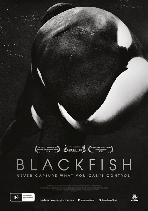 Contest Closed Win Tickets To The Powerful New Documentary Blackfish