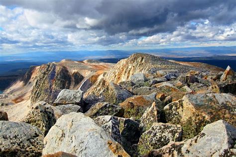 Medicine Bow National Forest