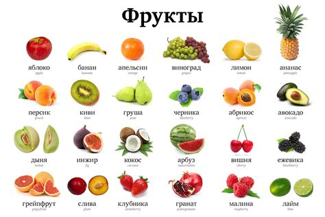 Fruit Vocabulary | Journal Russian