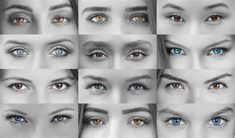 Eye Color Guide Everything You Need To Know Off