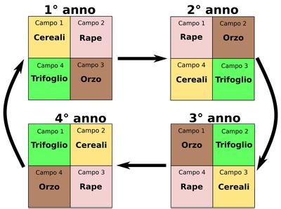 Sistema Di Rotazione Di Norfolk