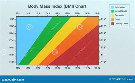 Body Mass Index Chart Stock Illustration Illustration Of Check 235353272