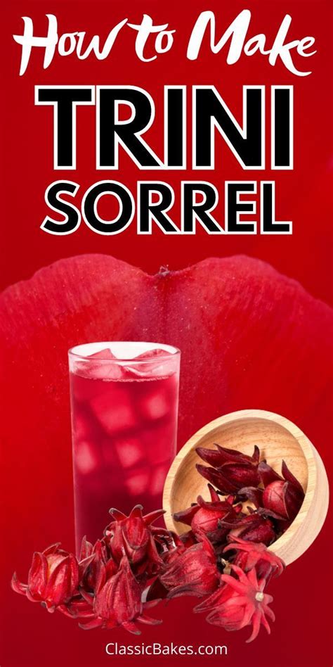 Jamaican Sorrel Hibiscus Drink Artofit