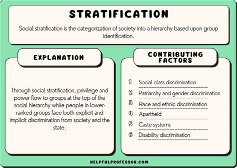 18 Best Social Stratification Examples 2025