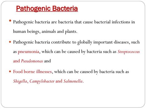 Ppt Culturing Bacterial Pathogens Powerpoint Presentation Free Download Id2368532