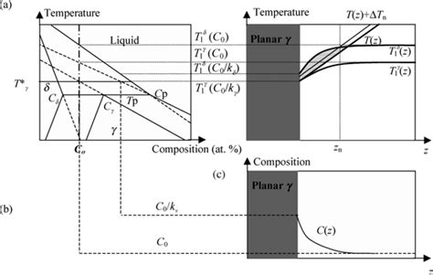 A Peritectic Phase Diagram Stable Equilibria Are Indicated With