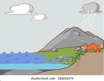 34 Phosphorus Cycle Images, Stock Photos & Vectors | Shutterstock