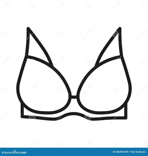 Types Of Bra The Complete Lingerie Stock Vector Illustration Of Style Woman 282987400
