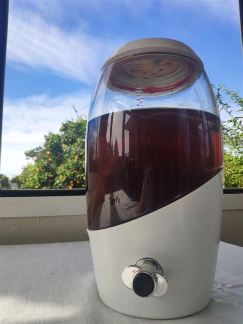 La Kombucha Casera Receta Fácil Deliciosa Y Explicada En Condiciones Blog