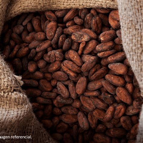 Vendemos Granos De Cacao Selva Blend Convencional Kutiva Cacao