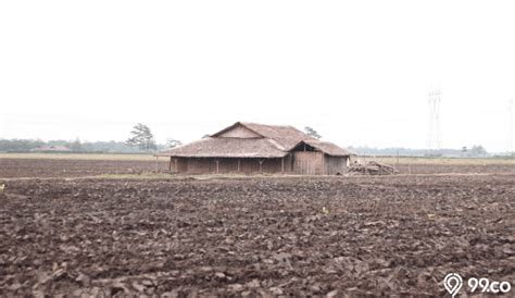 6 Potret Rumah Gubuk Sederhana Zaman Dahulu