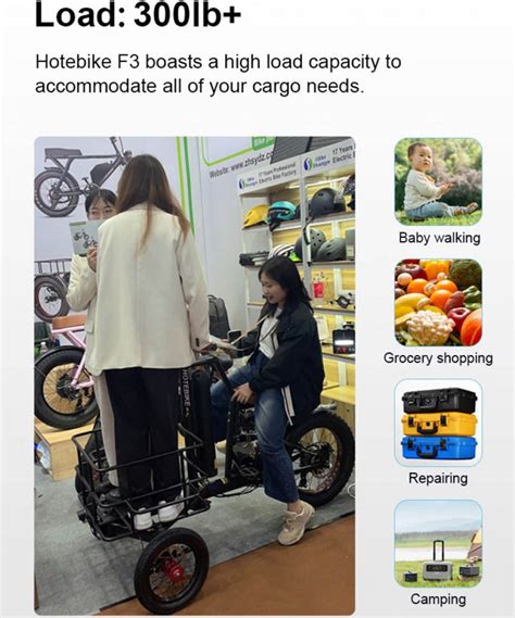 Long Range Battery Powerful Cargo Electric Tricycle - Shuangye ebike ...