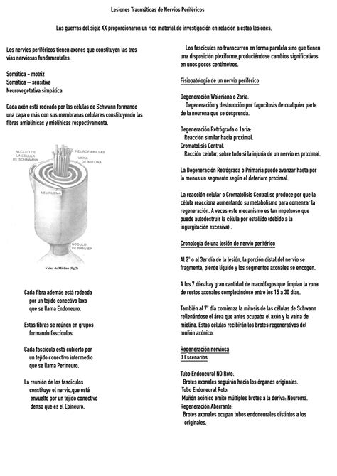 Solution Ortopedia Y Traumatologia Fracturas Y Lesiones Nerviosas