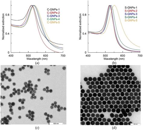 A Extinction Spectra Of Citrate Capped Quasispherical Particles