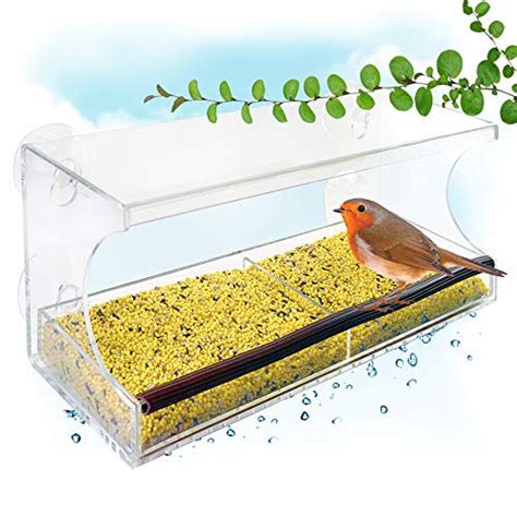 Go Simply Amazing Window Bird Feeder with Secure Suction Cups Placed ...