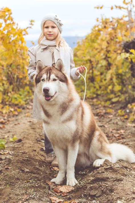 La Ragazza Ed Il Ragazzo Stanno Camminando Con Il Cane Del Husky