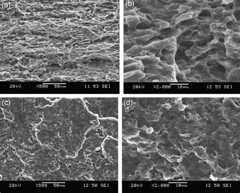 Typical SEM Images Showing The Fracture Surfaces Of Samples Tested At A