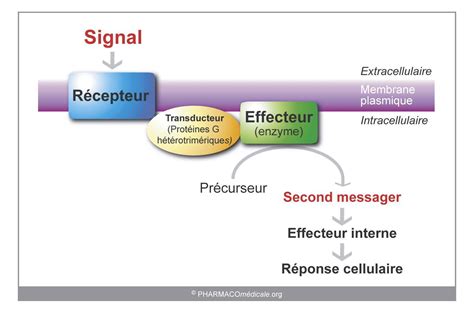 Les Points Essentiels