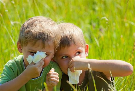 Le 6 cose da sapere sulle allergie ai pollini Società Italiana di