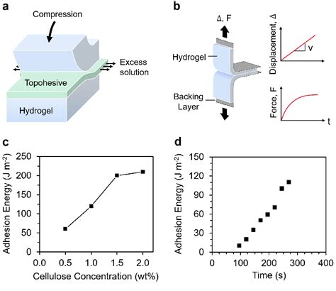 PDF Topological Adhesion I Rapid And Strong Topohesives Semantic