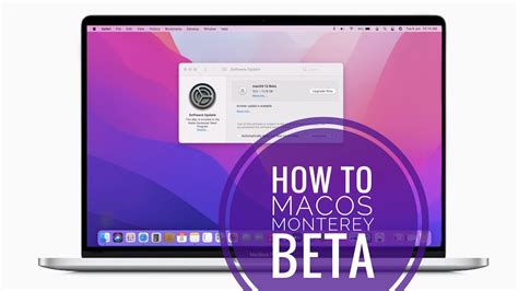 How To Download macOS Monterey Developer Beta On Any Mac