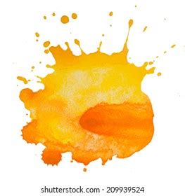 Orange Paint Splash Mango Pineapple Papaya Stock Vector Royalty Free