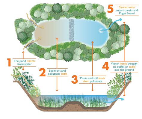 What Is Lid Kitsap Conservation District