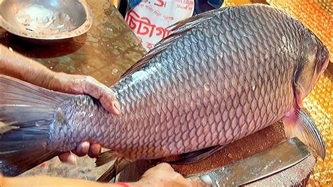 Today Giant Catla Carp Fish Cutting Live In Fish Market Fish Cutting