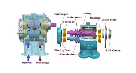 7 Parts of Screw Pump: Advantages and Disadvantages | Linquip