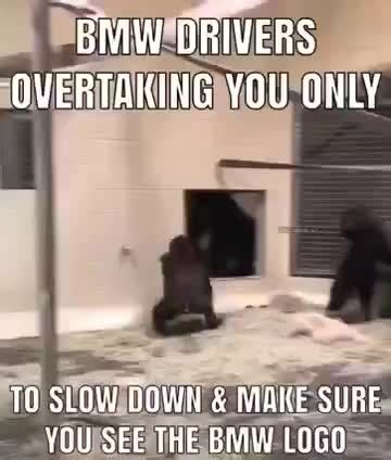 Bmw drivers - Meme by Knot_daddy :) Memedroid