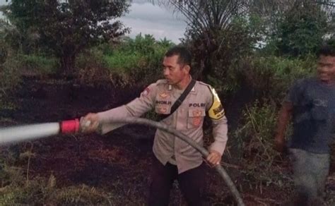 Lahan Milik Warga Di Muara Batang Toru Terbakar Diduga Akibat Puntung Rokok