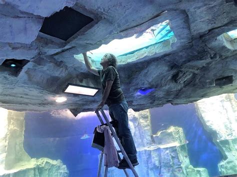 Saint Malo Derrière le décor un artiste fidèle à laquarium Rennes