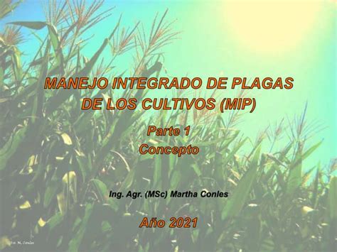 Manejo Integrado De Plagas Mip Concepto Y Fundamentos Ppt