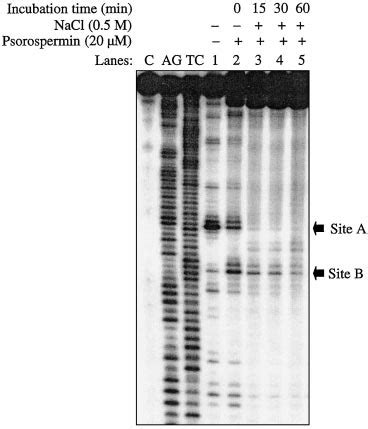 Reversibility Of Topoisomerase Ii Mediated Dna Cleavage Stimulated By