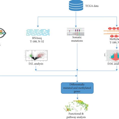 Study Design And Data Analysis Workflow For Integrative Analysis