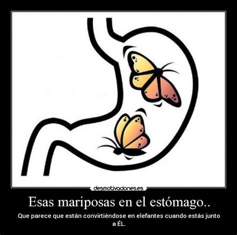 Arriba Foto Imagenes De Mariposas En El Estomago Cena Hermosa