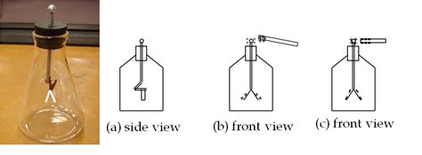 Electroscope and Electrostatic Induction