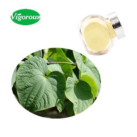 Factory Piper Methysticum Kava Kava Extract Kavalactones