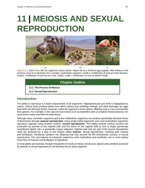 Pdf Chapter 11 Meiosis And Sexual Reproduction 307 11 Meiosis And