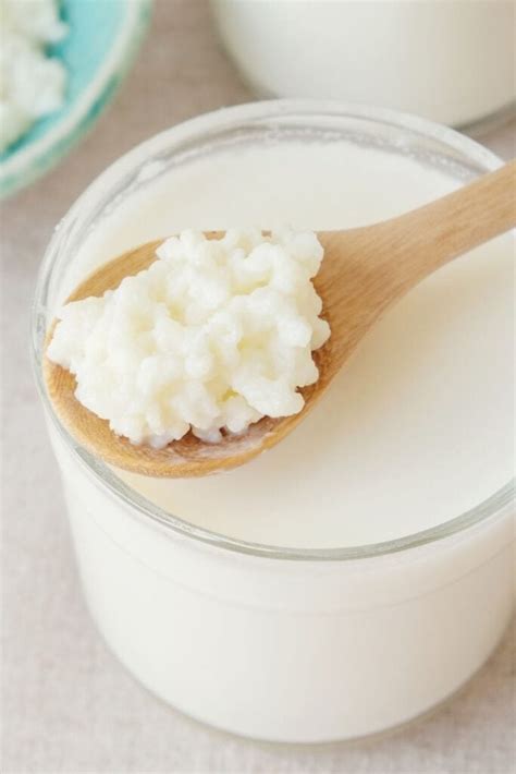 10 Best Kefir Recipes - Insanely Good