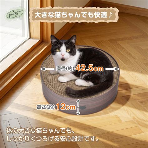 【楽天市場】爪とぎ 猫用爪とぎボウル 猫柄 猫爪研ぎ ダンボール 丸型 425cm すり鉢形状 削りカス出にくい 猫お昼寝 猫ベッド 猫ちゃん：ウェディング本舗彩華