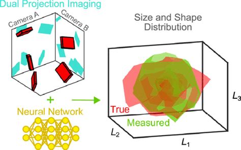 Characterizing Ensembles Of Platelike Particles Via Machine Learning