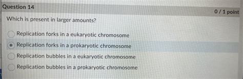 Solved Which is present in larger amounts? Replication forks | Chegg.com